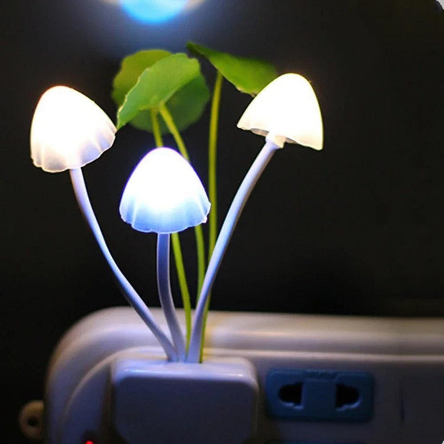 Nachtlicht Steckdose Pilz – Niedliche LED Schlummerleuchte für Kinder - Nachtlicht Kinder